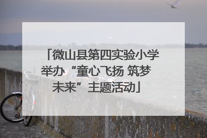 微山县第四实验小学举办“童心飞扬 筑梦未来”主题活动