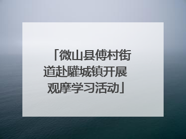 微山县傅村街道赴驩城镇开展观摩学习活动