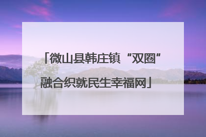 微山县韩庄镇“双圈”融合织就民生幸福网