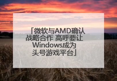 微软与AMD确认战略合作 高呼要让Windows成为头号游戏平台