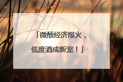 微醺经济爆火，低度酒成新宠！