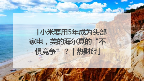 小米要用5年成为头部家电，美的海尔真的“不惧竞争”？｜热财经