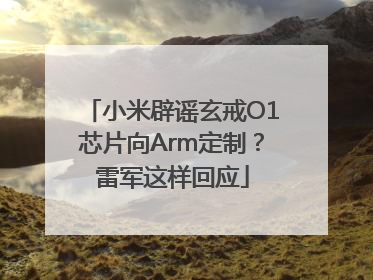 小米辟谣玄戒O1芯片向Arm定制？雷军这样回应