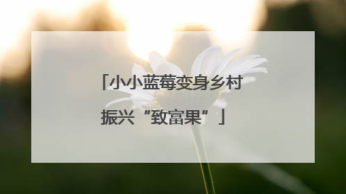 小小蓝莓变身乡村振兴“致富果”