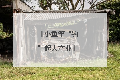 小鱼竿“钓”起大产业