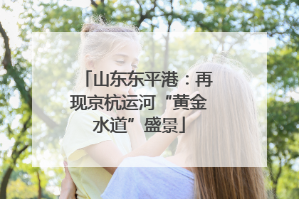 山东东平港：再现京杭运河“黄金水道”盛景