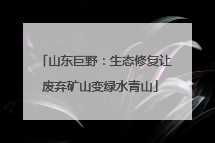 山东巨野：生态修复让废弃矿山变绿水青山