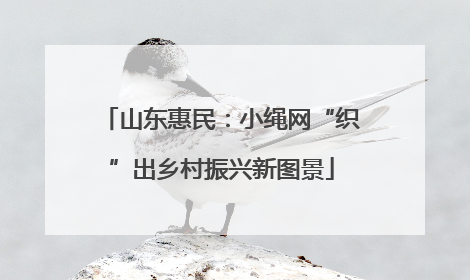 山东惠民：小绳网“织”出乡村振兴新图景