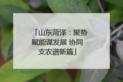 山东菏泽：聚势赋能谋发展 协同支农谱新篇