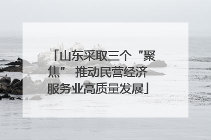 山东采取三个“聚焦” 推动民营经济服务业高质量发展