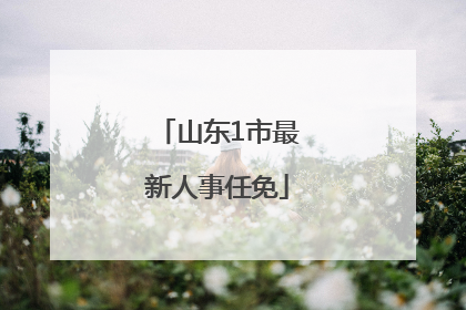 山东1市最新人事任免
