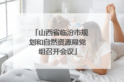 山西省临汾市规划和自然资源局党组召开会议