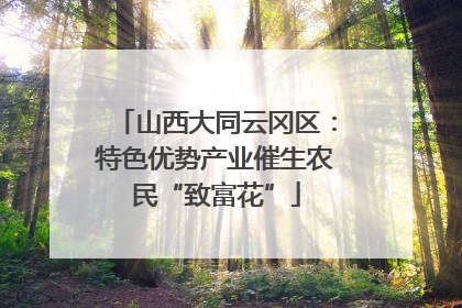 山西大同云冈区：特色优势产业催生农民“致富花”