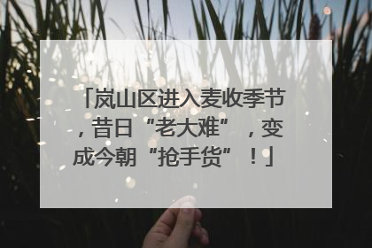 岚山区进入麦收季节，昔日“老大难”，变成今朝“抢手货”！