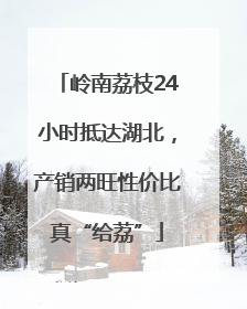 岭南荔枝24小时抵达湖北，产销两旺性价比真“给荔”