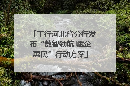 工行河北省分行发布“数智领航 赋企惠民”行动方案