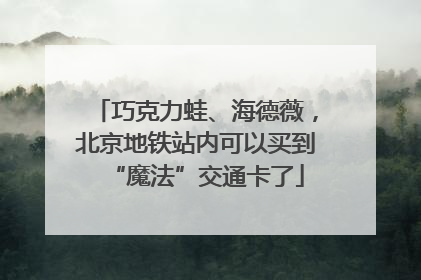 巧克力蛙、海德薇，北京地铁站内可以买到“魔法”交通卡了