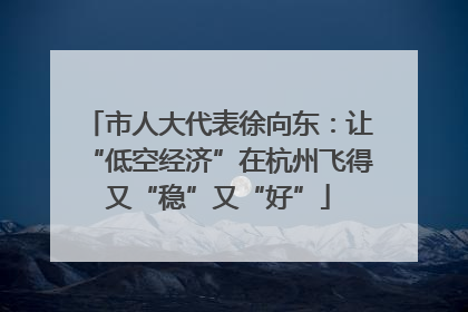 市人大代表徐向东：让“低空经济”在杭州飞得又“稳”又“好”