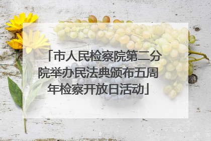 市人民检察院第二分院举办民法典颁布五周年检察开放日活动