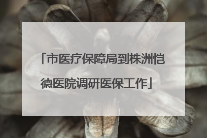 市医疗保障局到株洲恺德医院调研医保工作