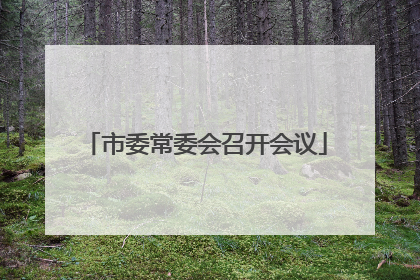 市委常委会召开会议