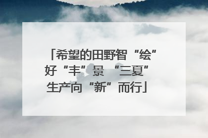 希望的田野智“绘”好“丰”景 “三夏”生产向“新”而行