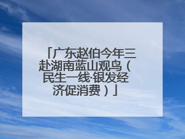 广东赵伯今年三赴湖南蓝山观鸟（民生一线·银发经济促消费）