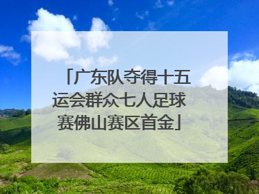 广东队夺得十五运会群众七人足球赛佛山赛区首金