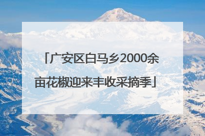 广安区白马乡2000余亩花椒迎来丰收采摘季