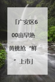广安区600亩早熟黄桃抢“鲜”上市