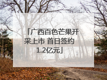 广西百色芒果开采上市 首日签约1.2亿元
