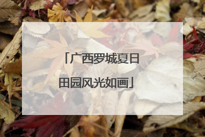 广西罗城夏日田园风光如画