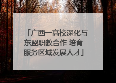 广西一高校深化与东盟职教合作 培育服务区域发展人才