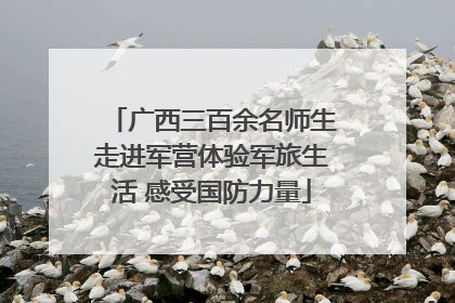 广西三百余名师生走进军营体验军旅生活 感受国防力量