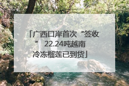 广西口岸首次“签收” 22.24吨越南冷冻榴莲已到货