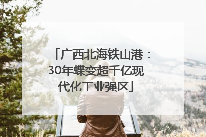 广西北海铁山港：30年蝶变超千亿现代化工业强区