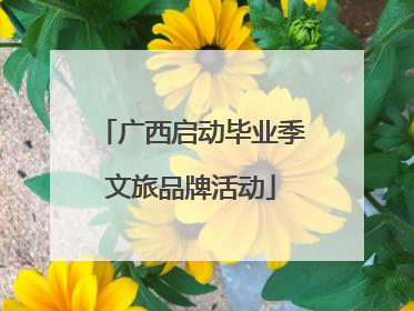 广西启动毕业季文旅品牌活动