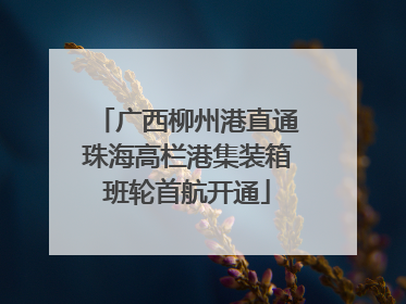 广西柳州港直通珠海高栏港集装箱班轮首航开通