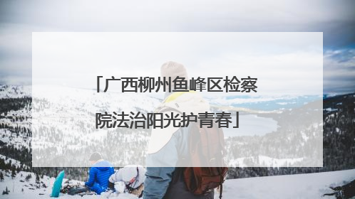 广西柳州鱼峰区检察院法治阳光护青春