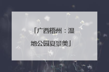 广西梧州：湿地公园夏景美