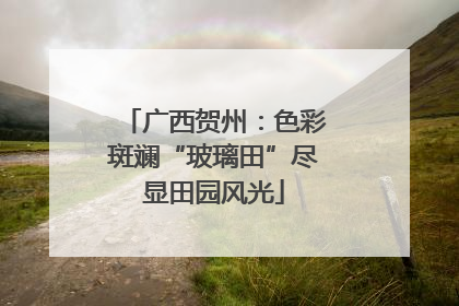 广西贺州：色彩斑斓“玻璃田”尽显田园风光