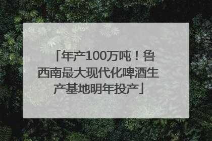 年产100万吨！鲁西南最大现代化啤酒生产基地明年投产
