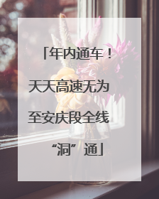 年内通车！天天高速无为至安庆段全线“洞”通