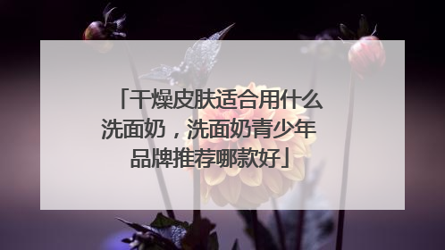 干燥皮肤适合用什么洗面奶，洗面奶青少年品牌推荐哪款好