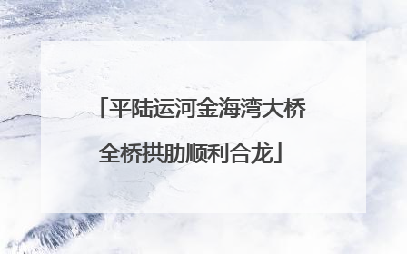 平陆运河金海湾大桥全桥拱肋顺利合龙