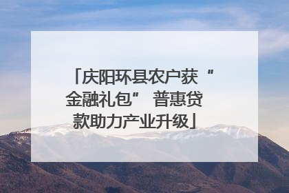 庆阳环县农户获“金融礼包” 普惠贷款助力产业升级