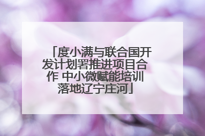 度小满与联合国开发计划署推进项目合作 中小微赋能培训落地辽宁庄河