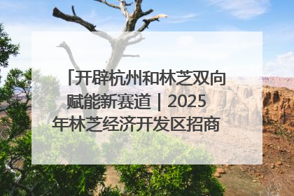 开辟杭州和林芝双向赋能新赛道｜2025年林芝经济开发区招商引资（杭州）推介展销活动在杭举办