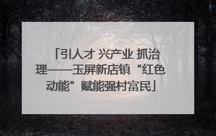 引人才 兴产业 抓治理——玉屏新店镇“红色动能”赋能强村富民