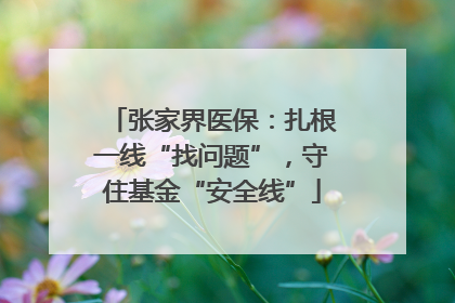 张家界医保：扎根一线“找问题”，守住基金“安全线”